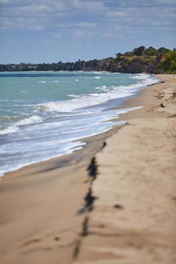 Corazon Guajiro Cabana Frente A Playa Solitaria En Dibulla Cerca A Palomino - Cabin In Front Of Solitary Beachs 외부 사진