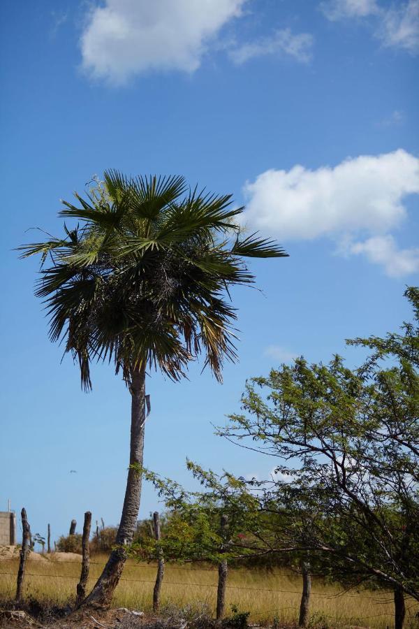 Corazon Guajiro Cabana Frente A Playa Solitaria En Dibulla Cerca A Palomino - Cabin In Front Of Solitary Beachs 외부 사진